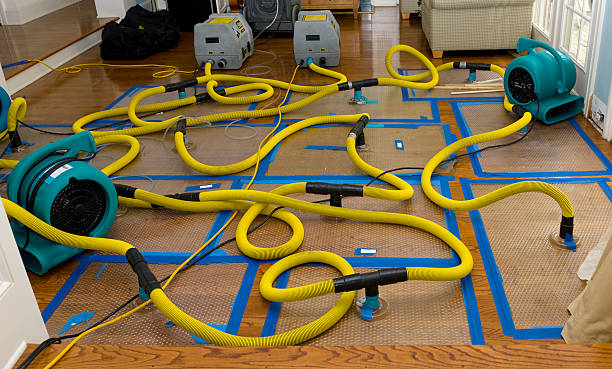 Professional Burst Pipe Water Damage technician working in Halifax, VA
